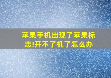 苹果手机出现了苹果标志!开不了机了怎么办