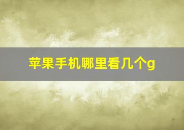 苹果手机哪里看几个g