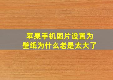 苹果手机图片设置为壁纸为什么老是太大了