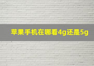 苹果手机在哪看4g还是5g