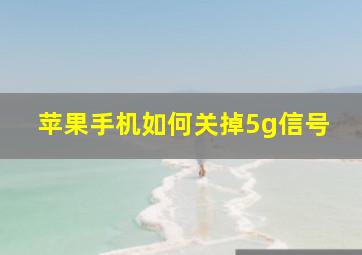 苹果手机如何关掉5g信号