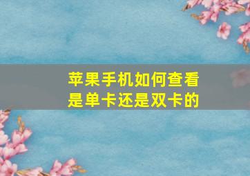 苹果手机如何查看是单卡还是双卡的