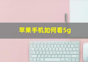 苹果手机如何看5g