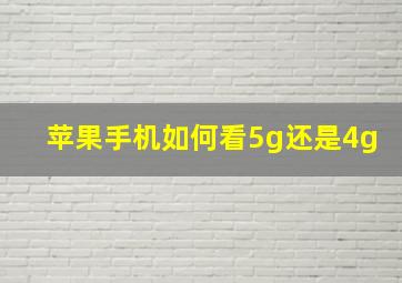 苹果手机如何看5g还是4g