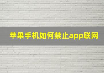 苹果手机如何禁止app联网