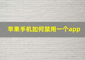 苹果手机如何禁用一个app