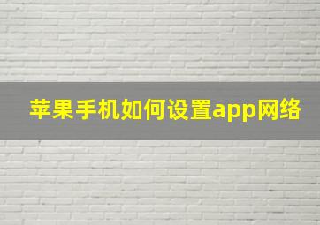 苹果手机如何设置app网络