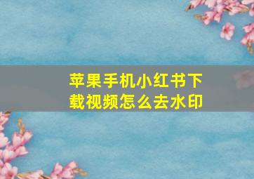 苹果手机小红书下载视频怎么去水印