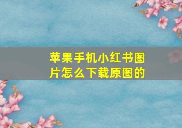 苹果手机小红书图片怎么下载原图的