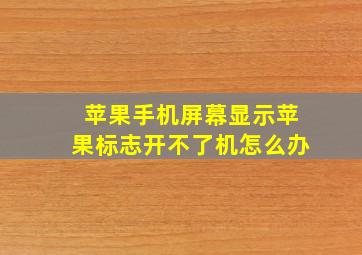 苹果手机屏幕显示苹果标志开不了机怎么办