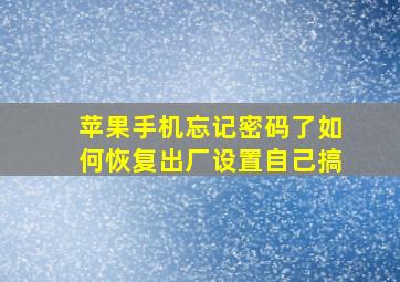 苹果手机忘记密码了如何恢复出厂设置自己搞