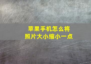 苹果手机怎么将照片大小缩小一点