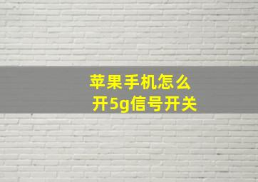 苹果手机怎么开5g信号开关