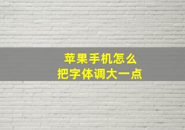 苹果手机怎么把字体调大一点