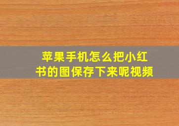 苹果手机怎么把小红书的图保存下来呢视频