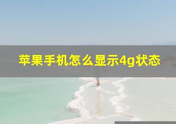 苹果手机怎么显示4g状态