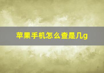 苹果手机怎么查是几g