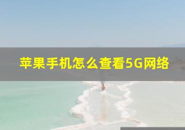 苹果手机怎么查看5G网络