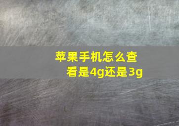 苹果手机怎么查看是4g还是3g