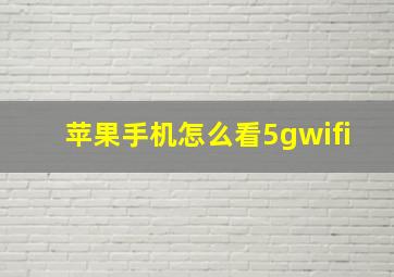 苹果手机怎么看5gwifi