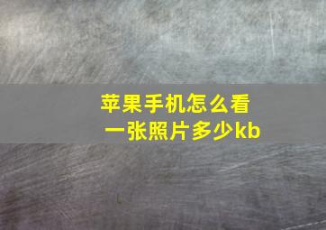 苹果手机怎么看一张照片多少kb