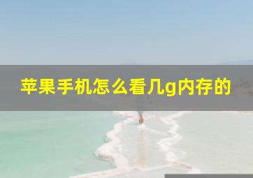 苹果手机怎么看几g内存的