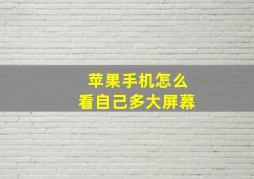 苹果手机怎么看自己多大屏幕