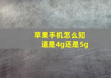 苹果手机怎么知道是4g还是5g