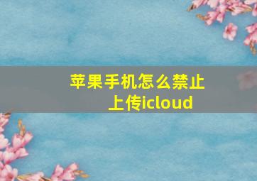 苹果手机怎么禁止上传icloud