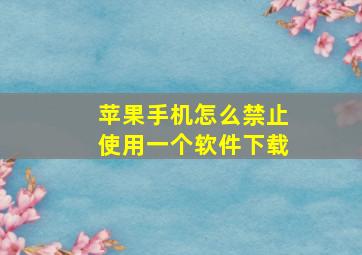 苹果手机怎么禁止使用一个软件下载