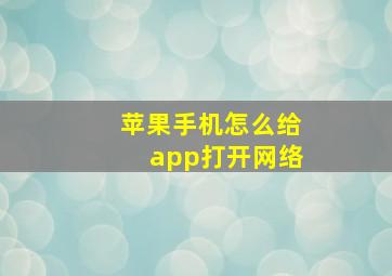 苹果手机怎么给app打开网络