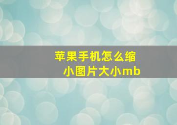 苹果手机怎么缩小图片大小mb