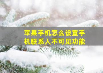 苹果手机怎么设置手机联系人不可见功能