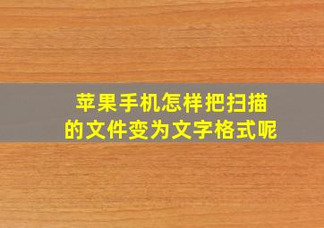 苹果手机怎样把扫描的文件变为文字格式呢