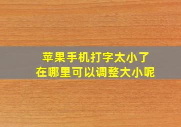 苹果手机打字太小了在哪里可以调整大小呢