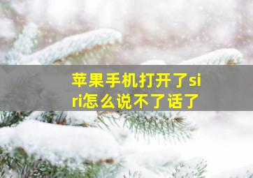 苹果手机打开了siri怎么说不了话了