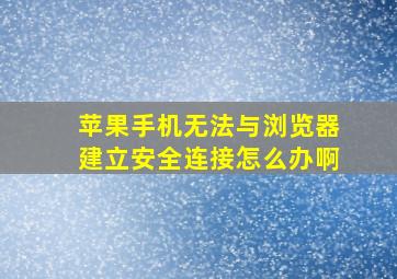 苹果手机无法与浏览器建立安全连接怎么办啊