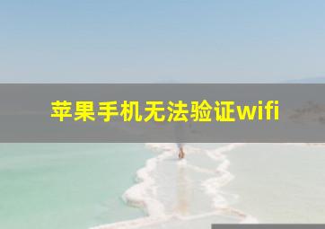 苹果手机无法验证wifi