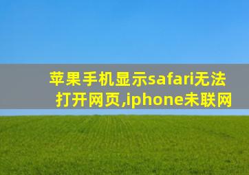 苹果手机显示safari无法打开网页,iphone未联网