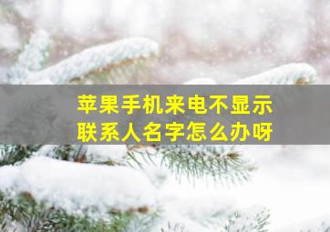 苹果手机来电不显示联系人名字怎么办呀