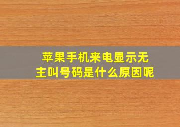 苹果手机来电显示无主叫号码是什么原因呢