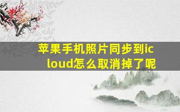 苹果手机照片同步到icloud怎么取消掉了呢