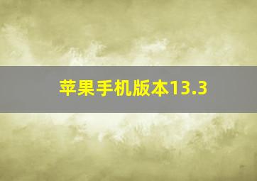 苹果手机版本13.3