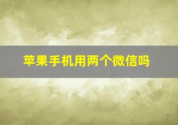 苹果手机用两个微信吗