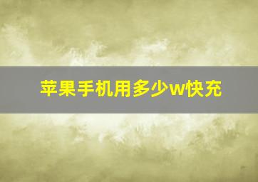 苹果手机用多少w快充