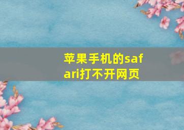 苹果手机的safari打不开网页