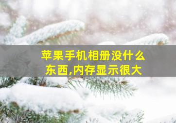 苹果手机相册没什么东西,内存显示很大