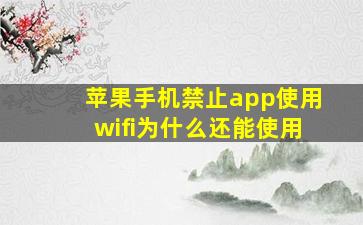 苹果手机禁止app使用wifi为什么还能使用