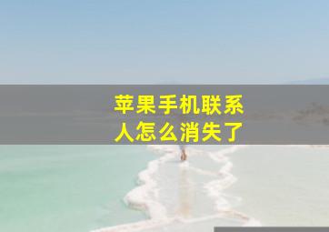 苹果手机联系人怎么消失了