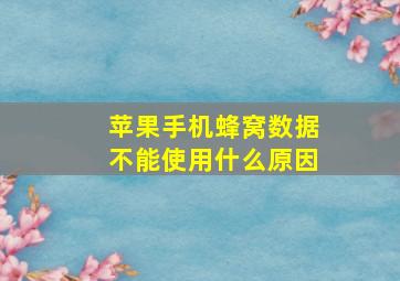 苹果手机蜂窝数据不能使用什么原因